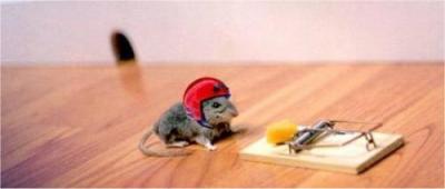 souris