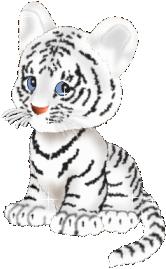 tigre