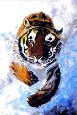 tigre