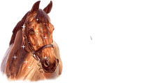 cheval