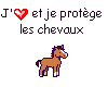 les chevaux 