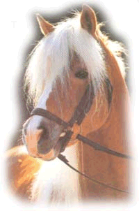 cheval