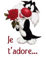 je t'adore