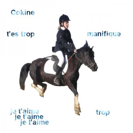 cokine & moi 