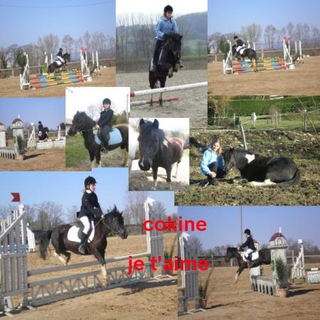 cokine