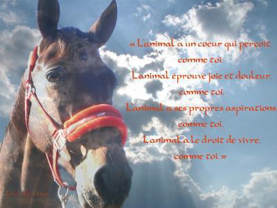 le cheval